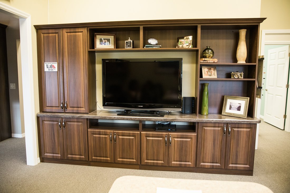 Living room entertainment built-in